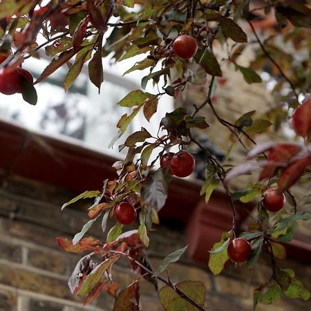 Beautiful London Home Sleeps 6, 2 Minutes To Metro Exteriér fotografie