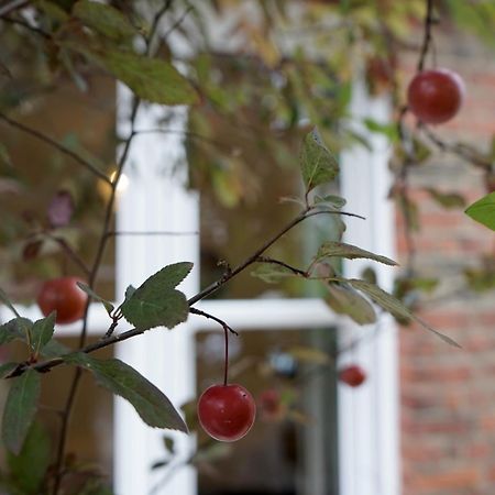 Beautiful London Home Sleeps 6, 2 Minutes To Metro Exteriér fotografie