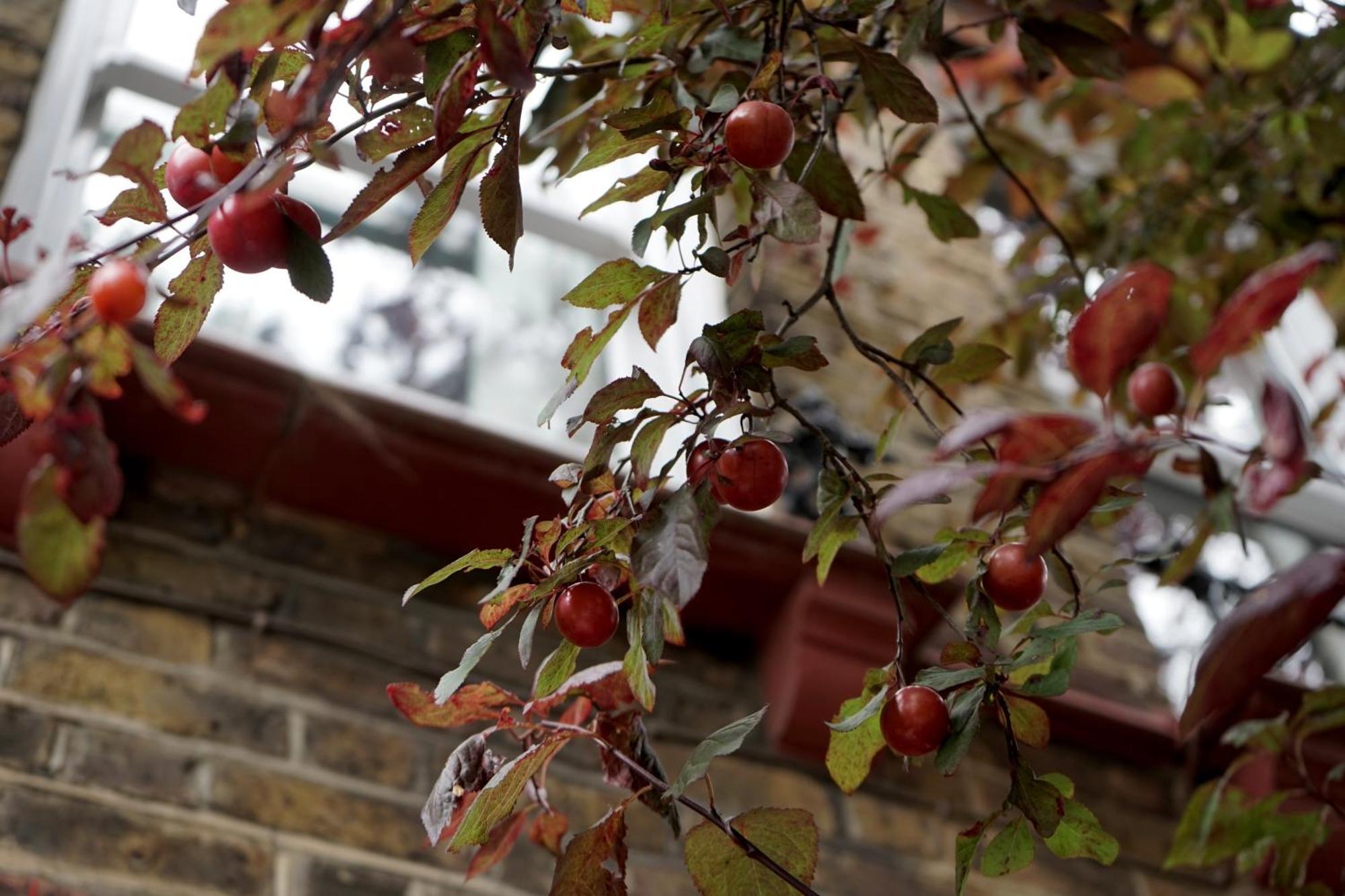 Beautiful London Home Sleeps 6, 2 Minutes To Metro Exteriér fotografie