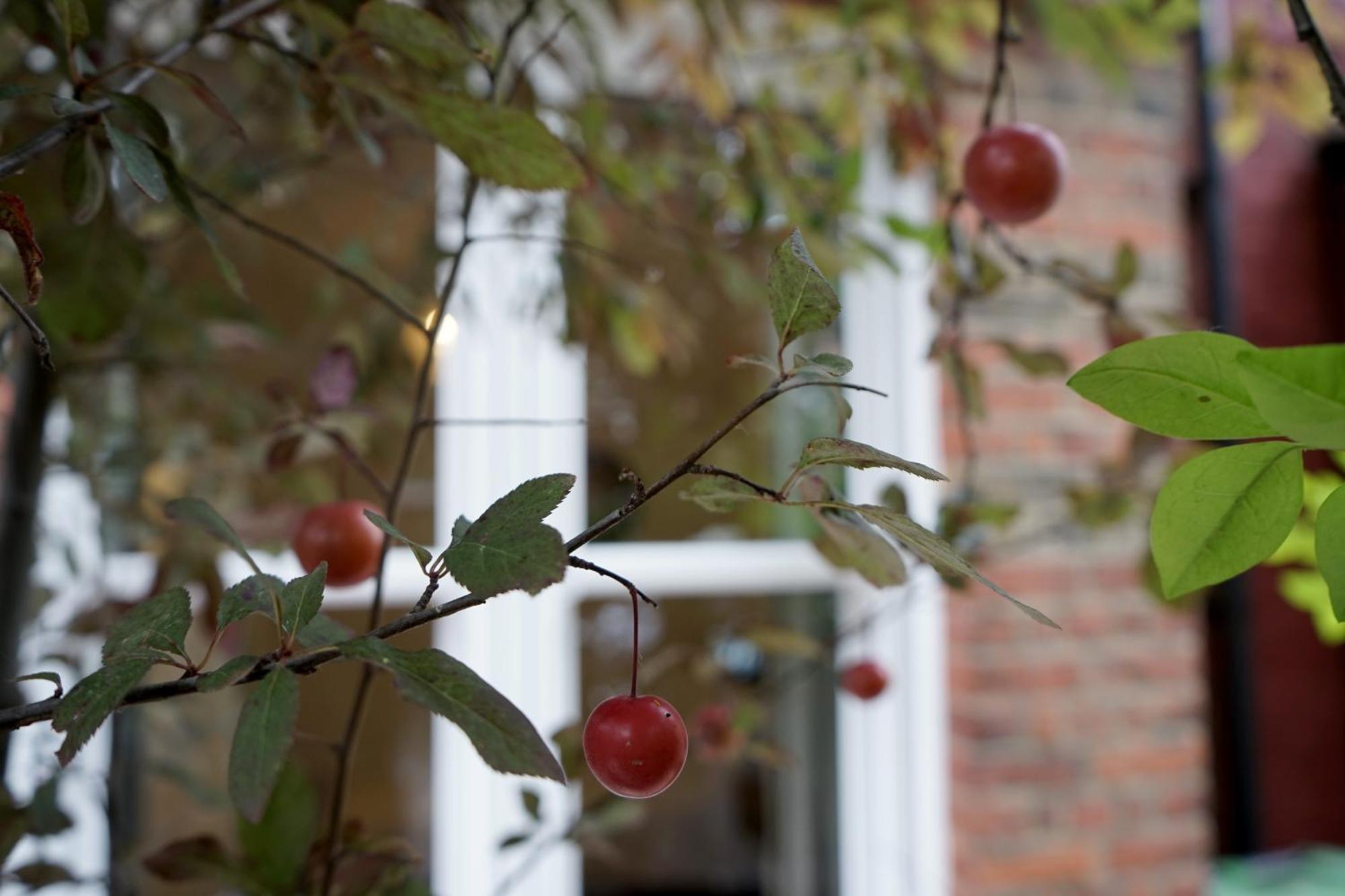 Beautiful London Home Sleeps 6, 2 Minutes To Metro Exteriér fotografie